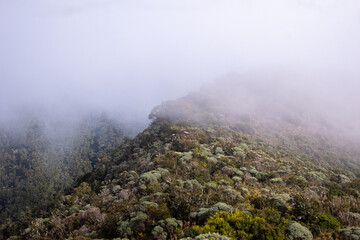 fog in the mountains