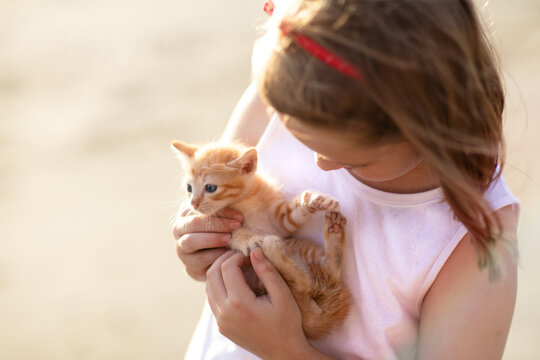 Little girl holding baby cat. Kids and pets