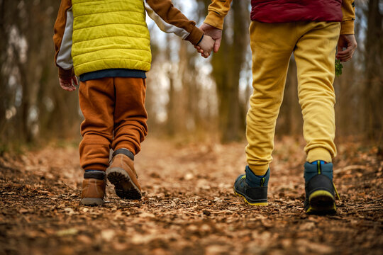 Children walking in forest