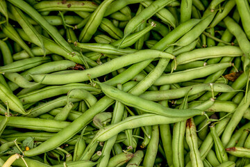 Summer afternoon at Farmer's Market in Fort Collins Colorado