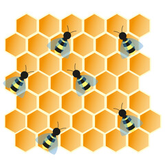 honeycomb and bees