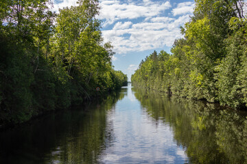 Fototapeta na wymiar river in the forest on the Trent Severn Waterway in Ontario, Canada