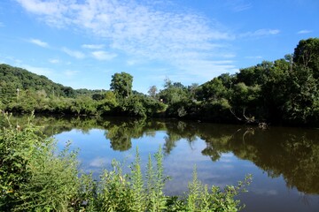Reflections on the Lake