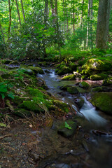 Long exposure waterfall Great Smoky Mountains National Park with mossy rocks and green foliage.  Copy space and intentional motion blur.