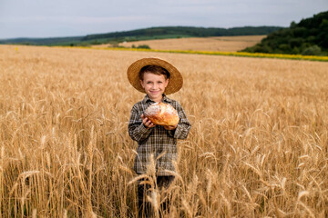Little boy in the straw hat and shirt he held out his handing with bread in ripe grain. concept...