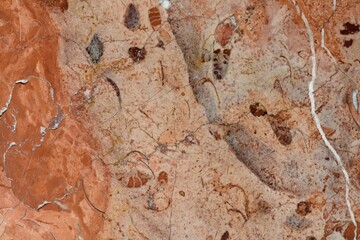 Detalle de las betas de un suelo de mármol rojo