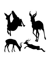Impala mammal silhouettes. Good use for symbol, logo, icon, mascot, sign, or any design you want. - obrazy, fototapety, plakaty