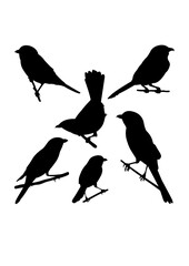 Southern grey shrike bird silhouettes. Good use for symbol, logo, icon, mascot, sign, or any design you want.