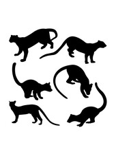 Fossa animal silhouettes. Good use for symbol, logo, icon, mascot, sign, or any design you want.