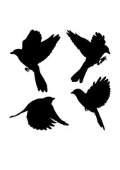 Flying southern grey shrike bird silhouettes. Good use for symbol, logo, icon, mascot, sign, or any design you want.