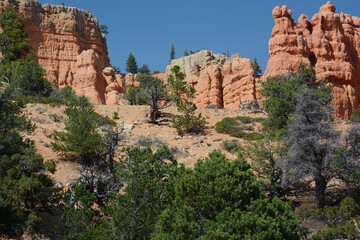 Fototapeta na wymiar Red Canyon Formations - Dixie National Forest