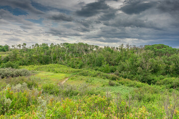 Summer Storm Clouds over Beaver Creek Conservatory