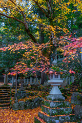 Fototapeta na wymiar 京都の紅葉