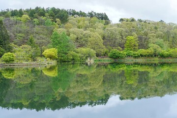 Fototapeta na wymiar 新緑に包まれた春の蓼科湖の情景＠長野
