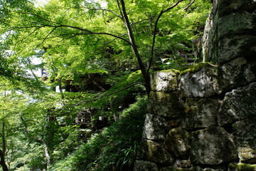 夏の京都　清水寺の風景