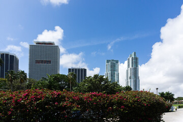 Cityscape with blue sky and flowers at Miami, State of Florida, USA.
