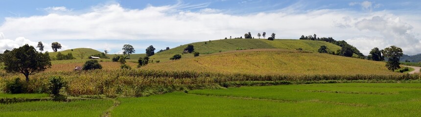 Obraz premium panorama of country farm on the hill
