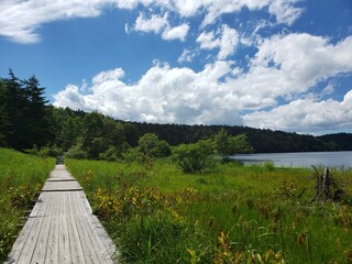 Fototapeta premium 湖畔を散歩する