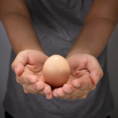 Human hands hold a chicken egg