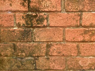 brick wall background
