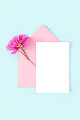 White blank card, pink envelope and flowers on blue background. Minimal style. Top view Flat lay Mockup