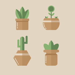 green plant in a pot