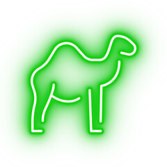 Neon green camel icon, transparent background, neon safari animal icon
