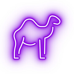Neon purple camel icon, transparent background, neon safari animal icon