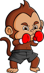 The master monkey is doing the boxing with the good gloves
