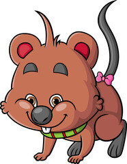 The cute quokka is walking and stepping with the happy expression