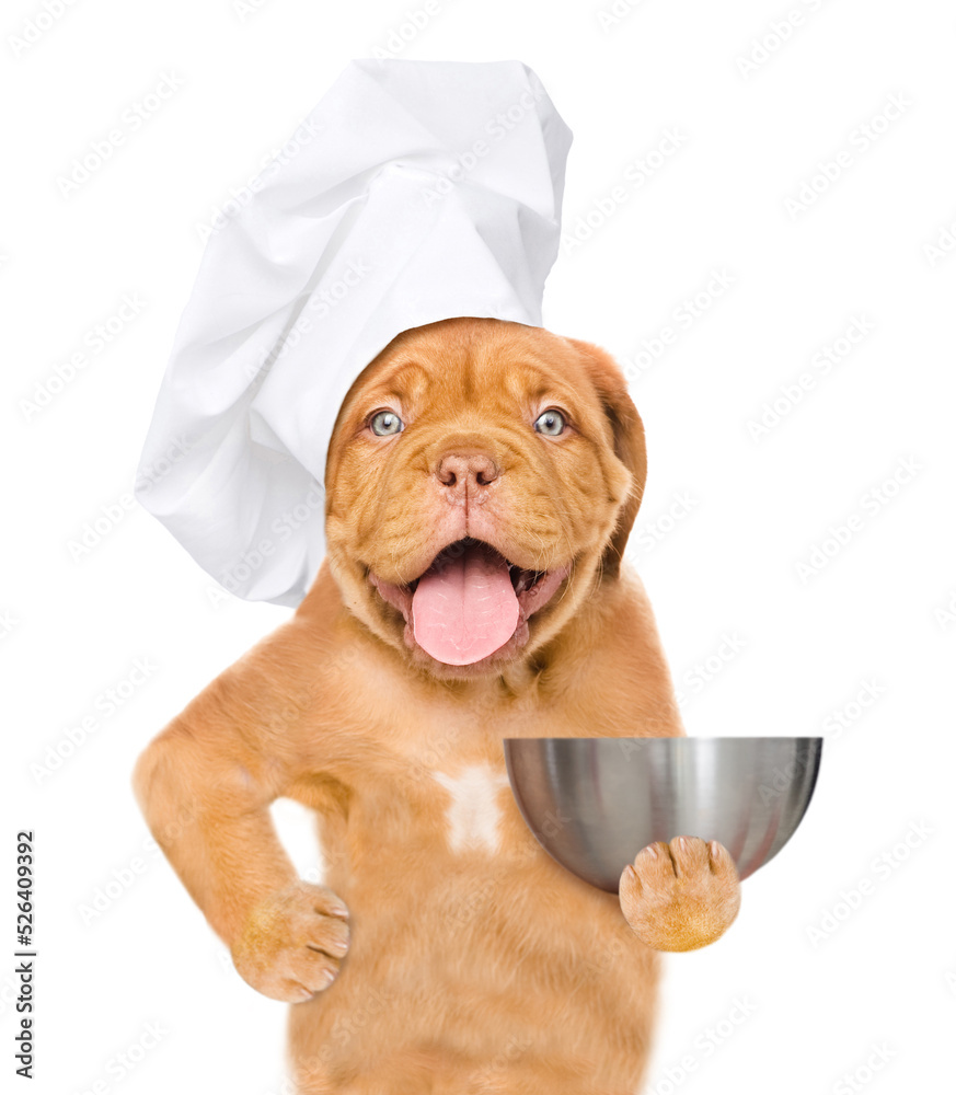 Poster happy puppy wearing a chef's cap holds empty bowl. isolated on white background