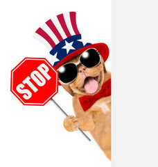 Happy Mastiff puppy wearing like Uncle Sam holds stop sign. isolated on white background