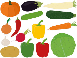 Various vegetables harvest collection vector illustration