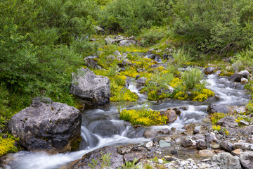 Clean natural stream at Lake Oeschienen in the Bernese Alps, Switzerland
