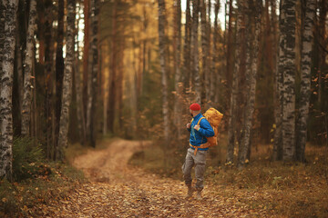 autumn camping in the forest, a male traveler is walking through the forest, yellow leaves landscape in October.