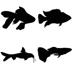 silhouette of a shark