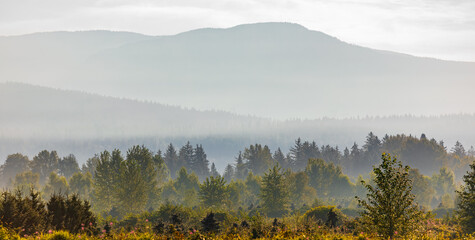 Beautiful Landscape of mountain layer in morning sunray and fog at British Columbia Canada. Mystery forest and mountains