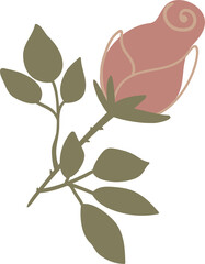 Rose flower PNG, transparent. Mystical garden Dark night garden floral element, Witchcraft rose. Floral mystery Illustration. Hand drawn pink rose.