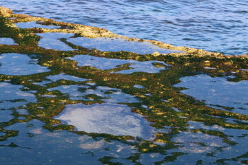 Coast of the Mediterranean Sea in northern Israel.