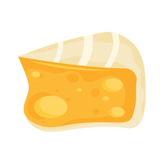 delicious camembert cheese