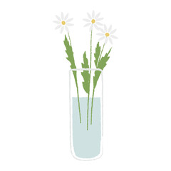 White chamomile flowers in a clear glass vase for room decor project, isolated on white background. Vector illustration for interior design, flower shop advertising, other.