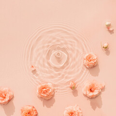Water beauty background. Natural pattern with pink roses on surface of transparent water close-up