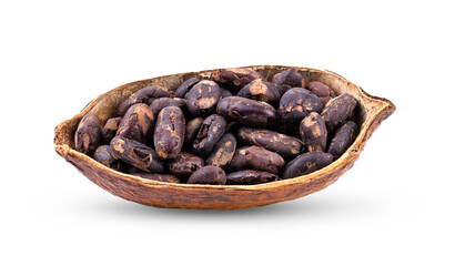 Cocoa isolated on white
