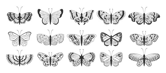 Butterfly tattoo sketch style illustration, outline silhouettes. Beautiful black and white art, fly insects drawing collection. Exotic moth, icons set. Vector illustration isolated background
