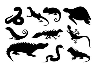 Wild reptile silhouette. Tropical reptiles turtle, chameleon and tortoise. Lizard and crocodile or alligator, snake and iguana, amphibians black icons. Vector isolated collection