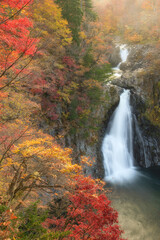Fototapeta premium 法体の滝、紅葉