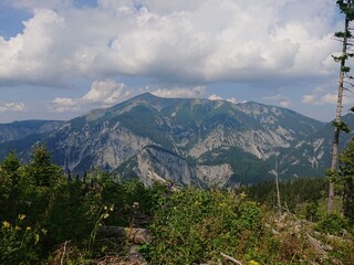 Naklejka premium Wyszlismy na Rax.