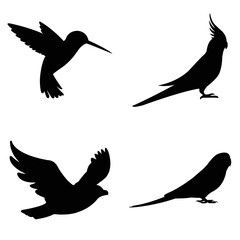 silhouettes of birds