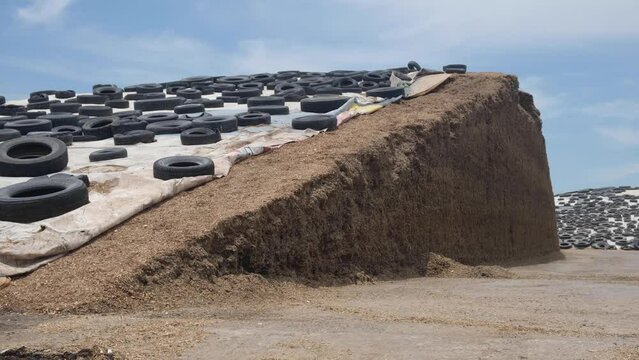 Granja agricola productora de alimento para ganado o vacas