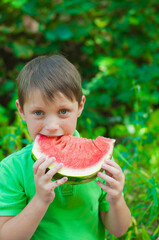 A cute boy in a green t-shirt eats a juicy ripe watermelon in the summer in the garden. Healthy lifestyle. Happy childhood